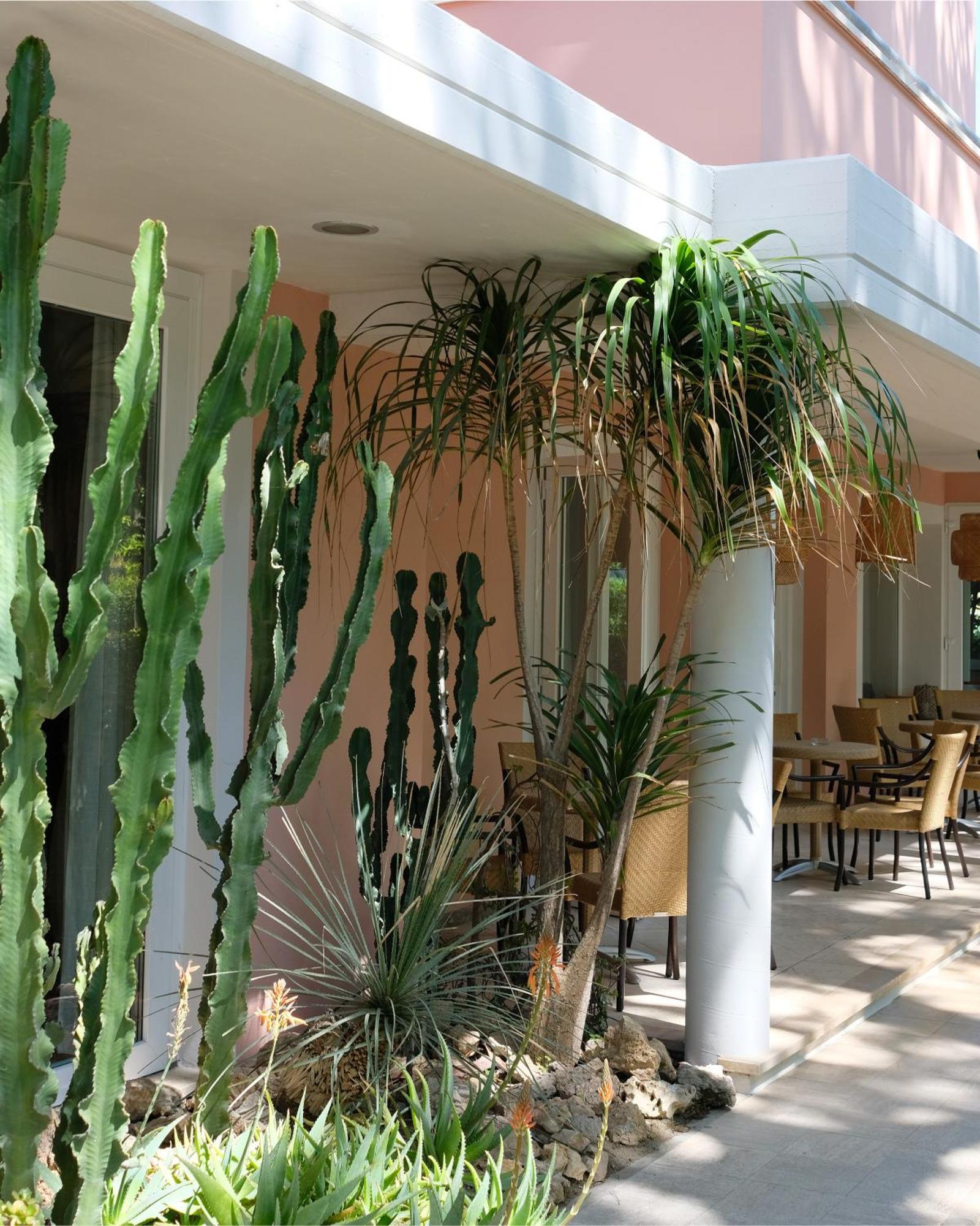 Hotel Piccolo Mondo ليدو دي كامايوري المظهر الخارجي الصورة